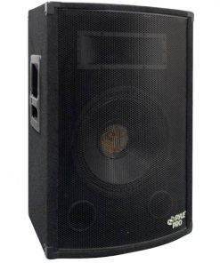 800 Watt 15'' Two-Way Speaker Cabinet (PADH1579)