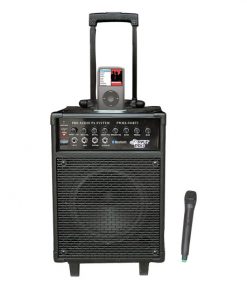 600 Watts VHF Wireless Portable PA System w/Microphone,i-Pod Dock & Bluetooth (PWMA940BTI)