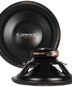 Cadence 10" Woofer Dual 2 ohm 200 Watts RMS