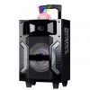 SINGLE 10" WOOFER W/BUILT IN RECHARGEABLE BATTERY DISCO BALL AND MIC