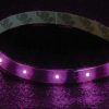 Audiopipe Pipedream 24" LED Flexible Strip Purple