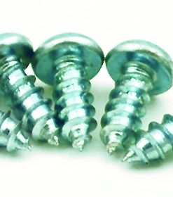“Just in Case” Wood Screws, 5