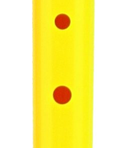 Yellow Recorder w/bag