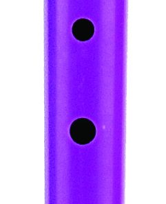 Purple Recorder w/bag