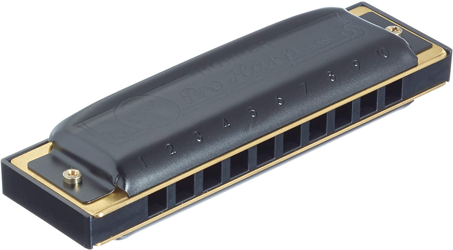 Hohner Fun Time Harmonica